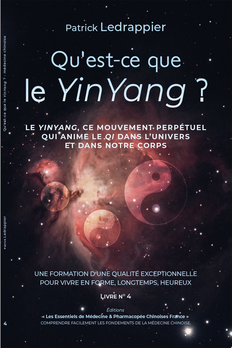 Qu'est-ce que le YinYang ?